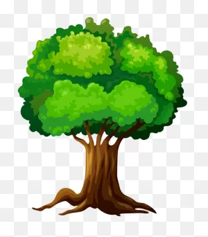 Trees ‿✿⁀°••○ - Arbol Dibujo Png - (700X800) Png Clipart Download