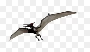 Pteranodon | Ark: Survival Evolved Wiki | ClipartFlare