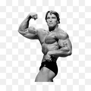 Download Arnold Schwarzenegger File Hq Png Image | ClipartFlare
