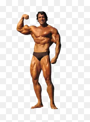 Download Schwarzenegger Arnold Free Png Hq Hq Png Image | ClipartFlare