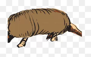 Armadillo Clipart Vector - Punxsutawney Phil - Png Download - Full ClipartFlare.com 