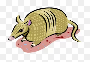 Free Armadillo Clipart