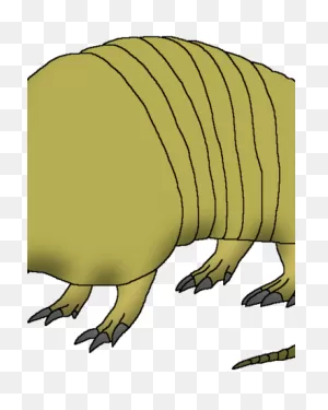 Nine-Banded Armadillo | Wildlife Animal Pedia Wiki | ClipartFlare