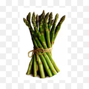Asparagus, Its Culture For Home Use And For Market:amazon ClipartFlare.com ClipartFlare.com 