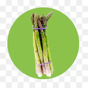 Asparagus Bunch
