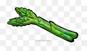 Asparagus Royalty Free Vector Clip Art Illustration -Vc048275 ClipartFlare.com 