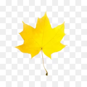 Fall Leaf #2 Clip Art | Clip Art, Autumn Leaves, Fall Leaves Images