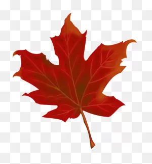 Leaf Autumn Leaves - Free Vector Graphic On Pixabay