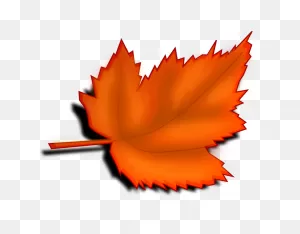 Leaf Autumn | Free Stock Photo | Illustration Of An Orange Autumn ClipartFlare.com 