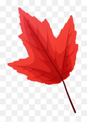 Red Maple Late Autumn Leaf Clipart. Free Download Transparent .png ClipartFlare.com 