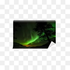 Aurora Borealis (Northern Lights) In Sweden Wall Mural • Pixers ClipartFlare.com 