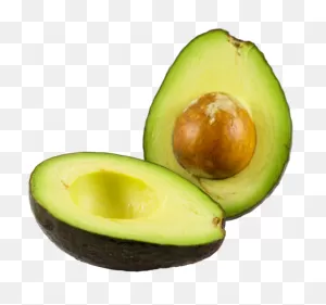 Avocado Png Images With Transparent Backgrounds - Transparent ClipartFlare.com 