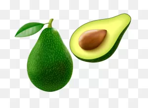 Avocado Png Vector Clipart Image | Avocado, Food Clips, Clip Art