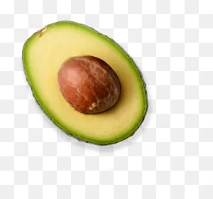 Avocado Png - 1 2 Avocado Png Clipart - Full Size Clipart ClipartFlare.com 