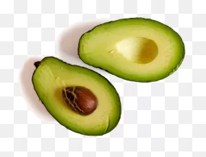 Avocado Clipart Food - Avocado - Png Download - Full Size Clipart ClipartFlare.com 