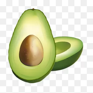 Avocado-Clipart -