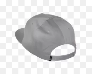 Backwards Caps! - Miss Clue - Message Boards