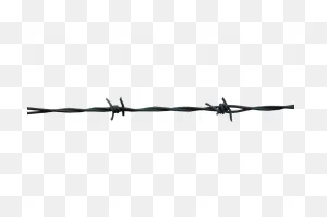 Barbwire Png
