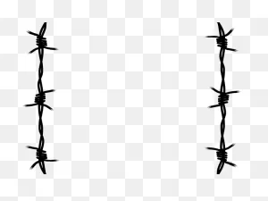 Barbed Wire Clipart Concertina Wire - Png Download - Full Size ClipartFlare.com 