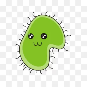Bacteria Png Transparent Images | Png All