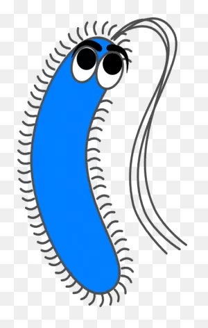 Bacteria Clipart - ClipartFlare
