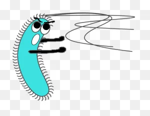 Cliparts Of Microorganisms 7, Buy Clip Art - Bacteria Clipart ClipartFlare.com 