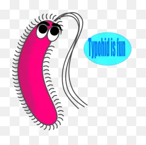 Cartoon Bacteria Clip Art N12 Free Image Download