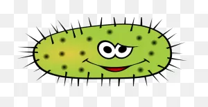 Everything You Ever Wanted To Know About Gut Bacteria But Were ClipartFlare.com 