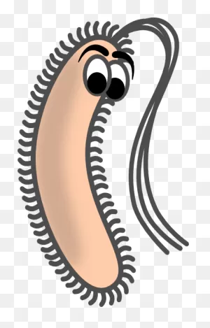 Funny Bacteria Clip Art At ClipartFlare ClipartFlare.com - Vector Clip Art Online ClipartFlare.com 