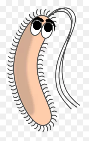 Modified Funny Bacteria Clip Art At ClipartFlare ClipartFlare.com - Vector Clip Art ClipartFlare.com 