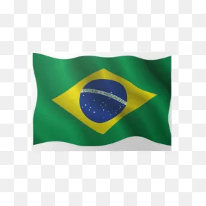 Bandeira Do Brasil Poster • Pixers® - We Live To Change