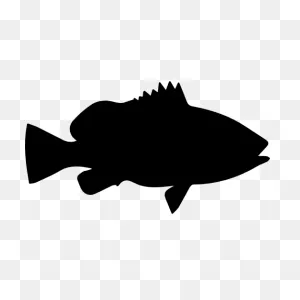 Fishing Bass Shape - Fish Png Download - 512*512 - Free ClipartFlare.com 