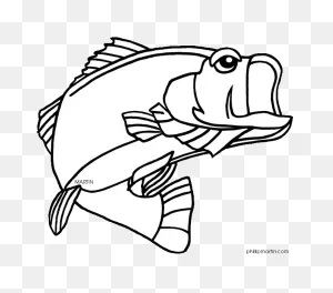 Largemouth Bass Fish Clip Art N6 Free Image Download