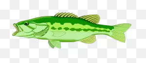 Lake Fish Clipart, Explore Pictures - Clipart Bass - Png Download ClipartFlare.com 