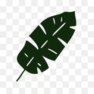 Banana Leaf Tropical Tree Hand Drawn Transparent Png & PNG-WebP Vector