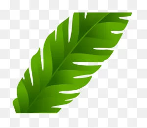 Download Leaf Clipart Coconut Tree - Banana Leaves Clip Art - Full ClipartFlare.com 