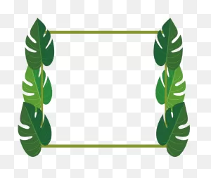 Mq Leaf Leaves Frame Frames Palm - Banana Leaf Clipart - Full Size ClipartFlare.com 