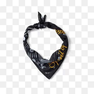 &sons Spirit Of Freedom Bandana - Red By &sons Trading Co