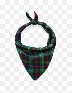 The North Paw Bandana