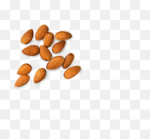 Nut Clipart Badam, Picture #1765485 Nut Clipart Badam