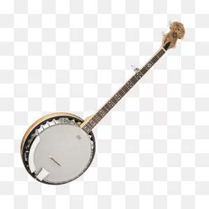 Beaver Creek Bcbj-G Banjo / Acoustic Guitar