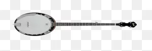 Rover Rb-20T Student Tenor Banjo