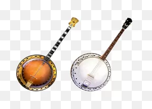 Willow Creek B524-5 String Banjo