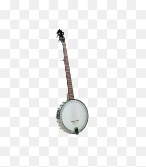 Which Tenor Banjo Tuning To Choose -