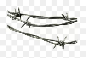 File:barbed Wire.png - Wikimedia Commons