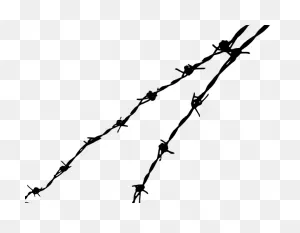 Free Barbed Wire Cliparts, Download Free Barbed Wire Cliparts Png ClipartFlare.com 
