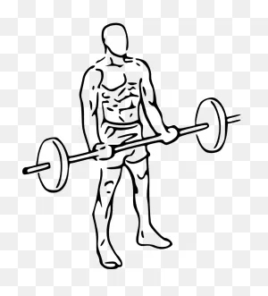 Biceps Curls With Barbell