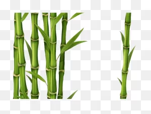 Bamboo Clipart Picture Frame - Transparent Bamboo - Png Download ClipartFlare.com 
