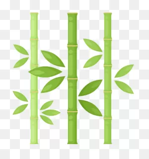 Bamboo Clipart. Free Download Transparent .png | ClipartFlare