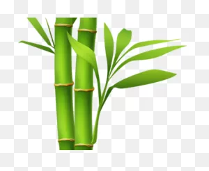 Bamboo Clipart Island Border - Transparent Bamboo Clip Art - Png ClipartFlare.com 